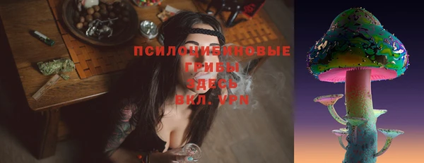 метадон Липки