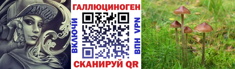 Купить закладки  Сосновоборск  Галлюциногенные грибы Psilocybe 